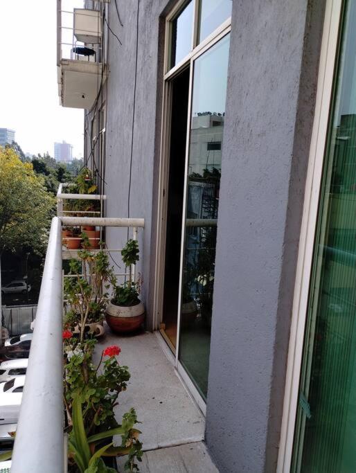 Apartamento Castillo de Chapultepec México DF Exterior foto